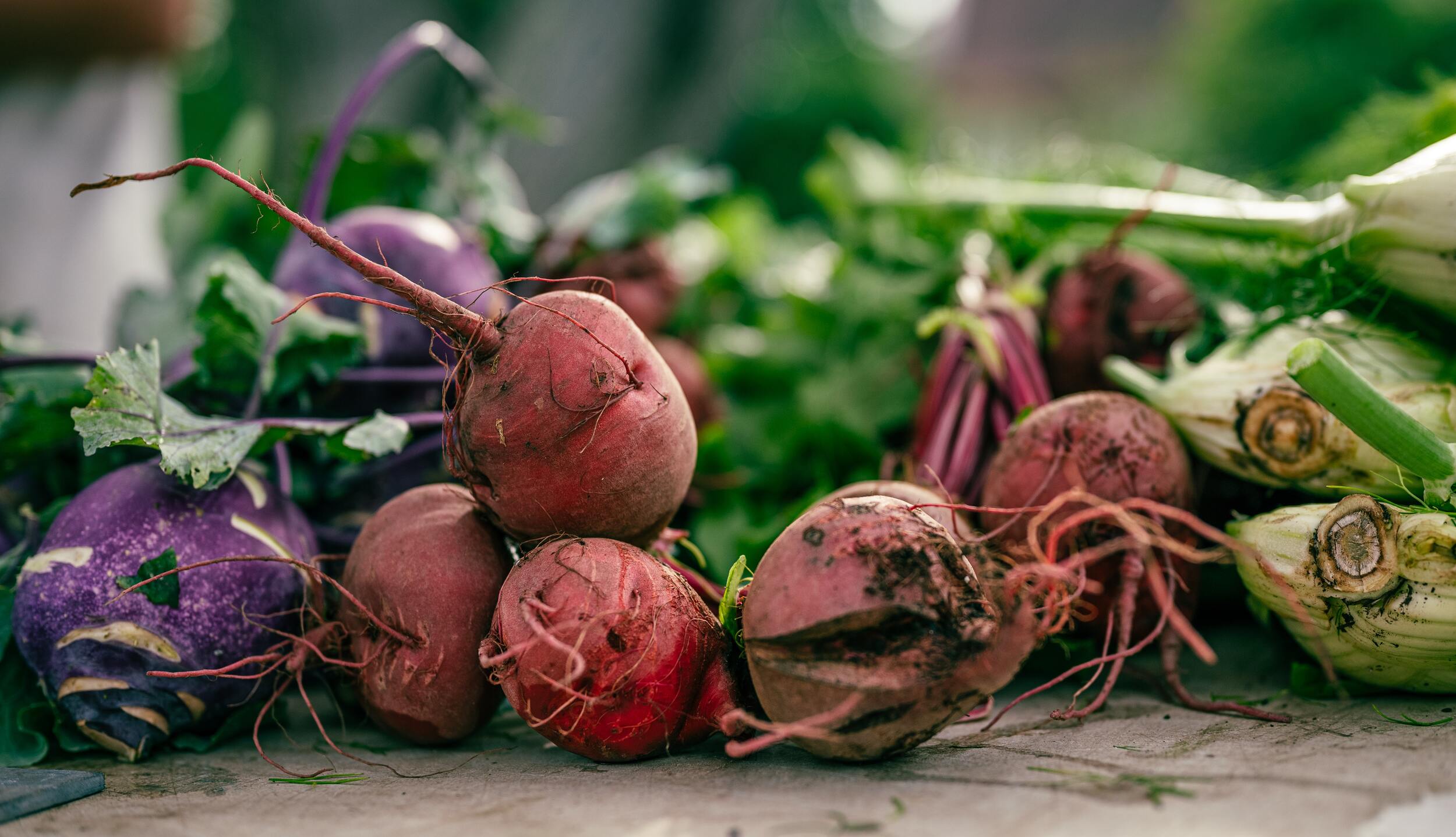 “Eating Beets for Better Health: The Surprising Benefits of Eating Beets”